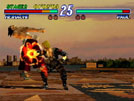 Tekken 2 Paul Phoenix (On Right.).