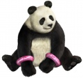 Panda 22225.jpg