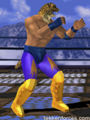 King - Player One Costume - Tekken 3.jpg