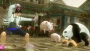 Ling Xiaoyu (left) and Panda (right), as seen in Tekken 6.