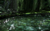 Mystical Forest - Tekken 6.jpg