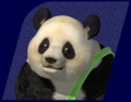 Panda (T4).jpg